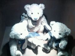 android_upload_pic-济州岛泰迪熊博物馆