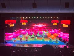 -南风大剧院莎梦二人转剧场