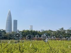 -深圳湾公园(南山区)