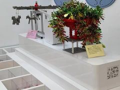 -能力风暴机器人编程中心