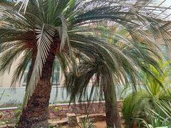 -石家庄市植物园