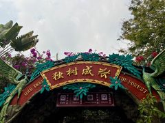-独树成林