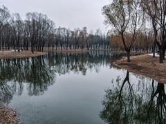 -东郊湿地公园
