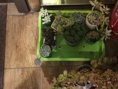 -颐香园家常菜(颐和园店)