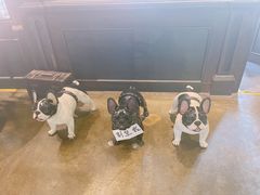 -LYFATTI 莱芙缇(赣水路店)