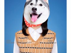 -天真蓝照相馆(杭州滨江宝龙店)
