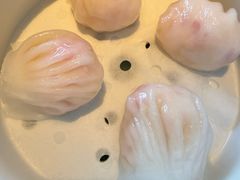 虾饺皇-粤界(望京金辉店)