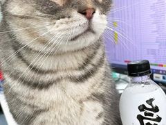 -瑞派宠物医院(搏威敦和院)