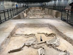 -洛阳周王城天子驾六博物馆