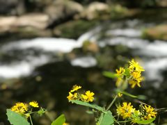 -山西壶关太行山大峡谷旅游景区
