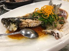 清蒸海鲩-六婶西关小厨(光塔路店)
