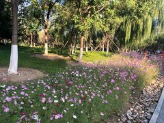 -回龙观体育文化公园