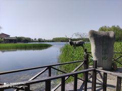 -溱湖国家湿地公园