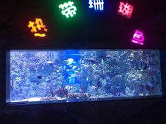 -烟台海昌鲸鲨海洋公园