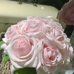 -皇室米澜摄影工作室(宝安店)