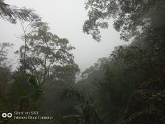 -七仙岭温泉国家森林公园