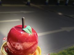 -GANSO元祖食品(沪青平店)