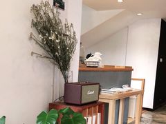 -猫里有甜