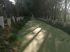 -东郊湿地公园