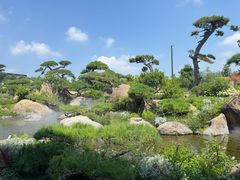 -罗红摄影艺术馆