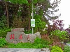 -铁山坪森林公园