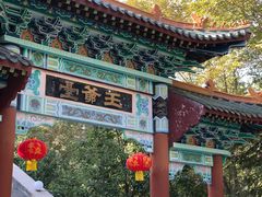 -哈密回王府景区