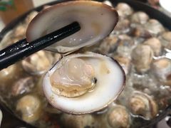 -顺德哥卜卜贝(旗舰店)