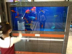 -简朴寨(武东店)