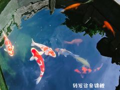 -西安市广仁寺