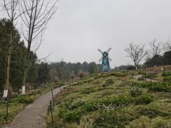 -铁山坪森林公园