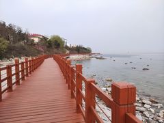 -养马岛旅游度假区