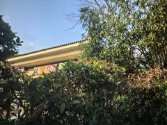-苏州湾·王焰温泉