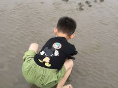 -奉贤海滩