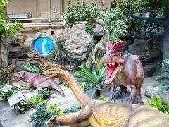 -国家自然博物馆