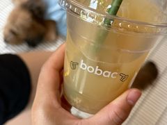 -BOBAC