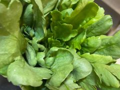 -崔记生活·铁锅炖鱼粘卷子(总店)