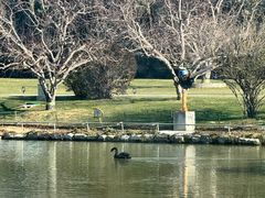-春晖园度假酒店温泉