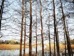 -云龙湖旅游景区