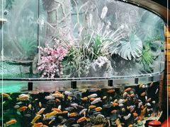 -太平洋海底世界