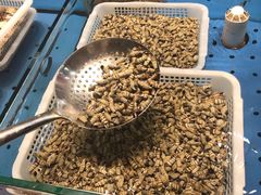 -潮庭·大连海鲜·炭火烧烤·扇贝王(大连店)