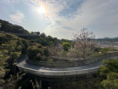 -福道