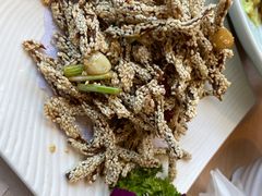 -西部马华清真食府·丝路菜(大钟寺店)