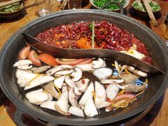 鸳鸯锅-四小区火锅·巷子里的重庆火锅(花照壁店)