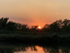 -大兴滨河森林公园