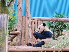 -乐和乐都主题乐园