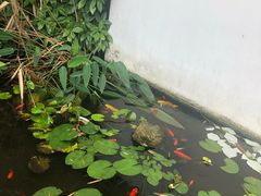 -凤凰御元艺术基地