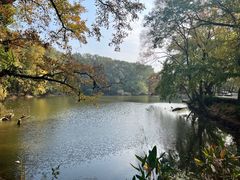 -灵谷景区