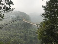 -川西竹海景区