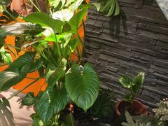 -泰古龙抓龙筋·spa按摩(静安店)