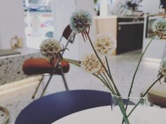 -FULL MOON满月咖啡